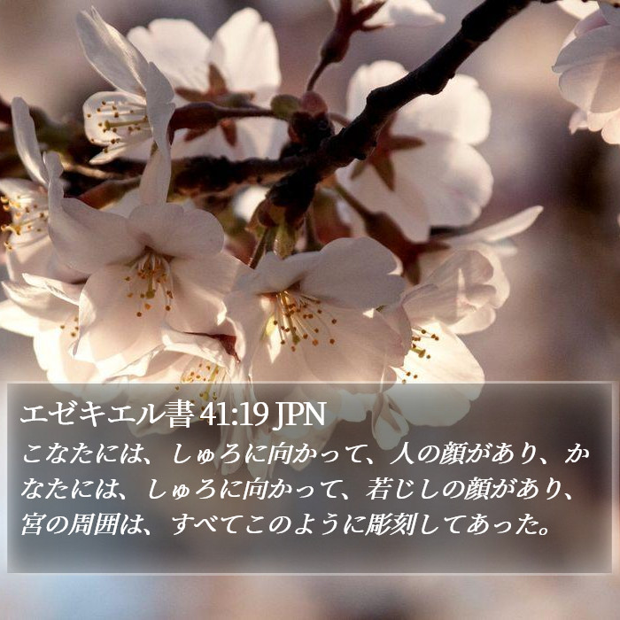 エゼキエル書 41:19 JPN Bible Study