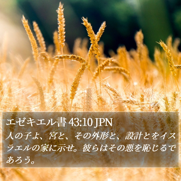 エゼキエル書 43:10 JPN Bible Study