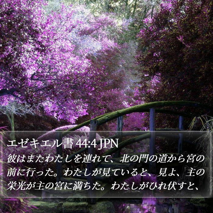 エゼキエル書 44:4 JPN Bible Study