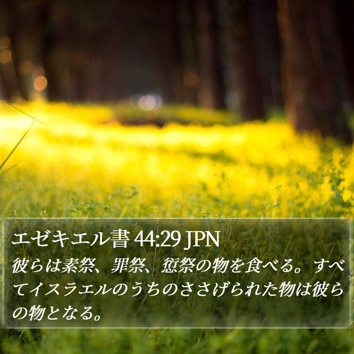 エゼキエル書 44:29 JPN Bible Study