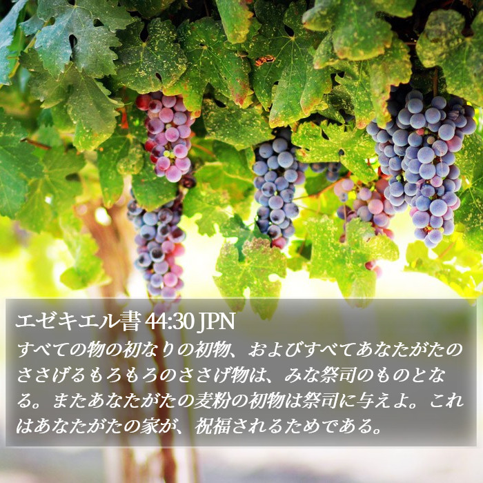エゼキエル書 44:30 JPN Bible Study