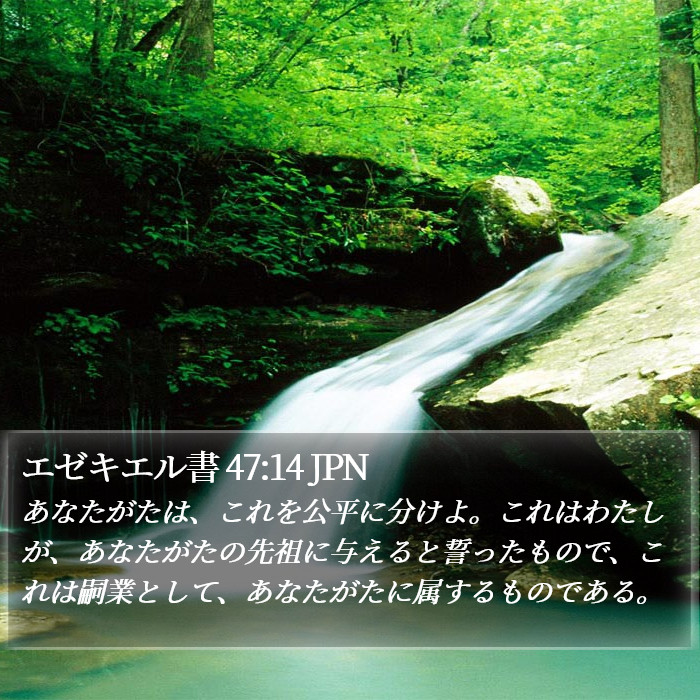 エゼキエル書 47:14 JPN Bible Study