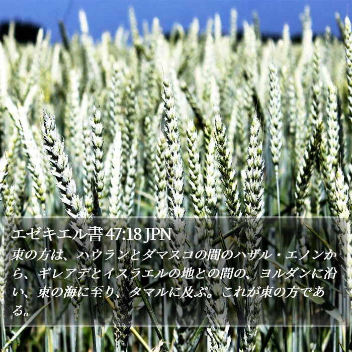 エゼキエル書 47:18 JPN Bible Study