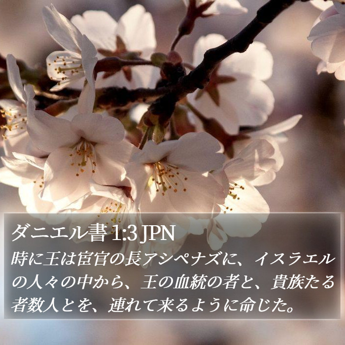 ダニエル書 1:3 JPN Bible Study