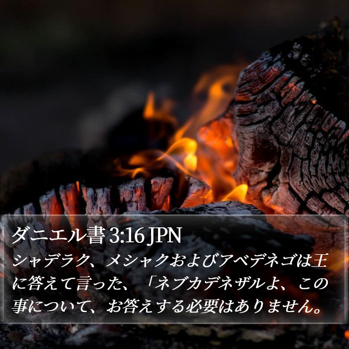 ダニエル書 3:16 JPN Bible Study