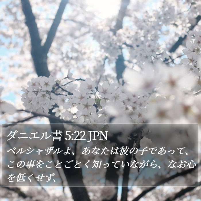 ダニエル書 5:22 JPN Bible Study