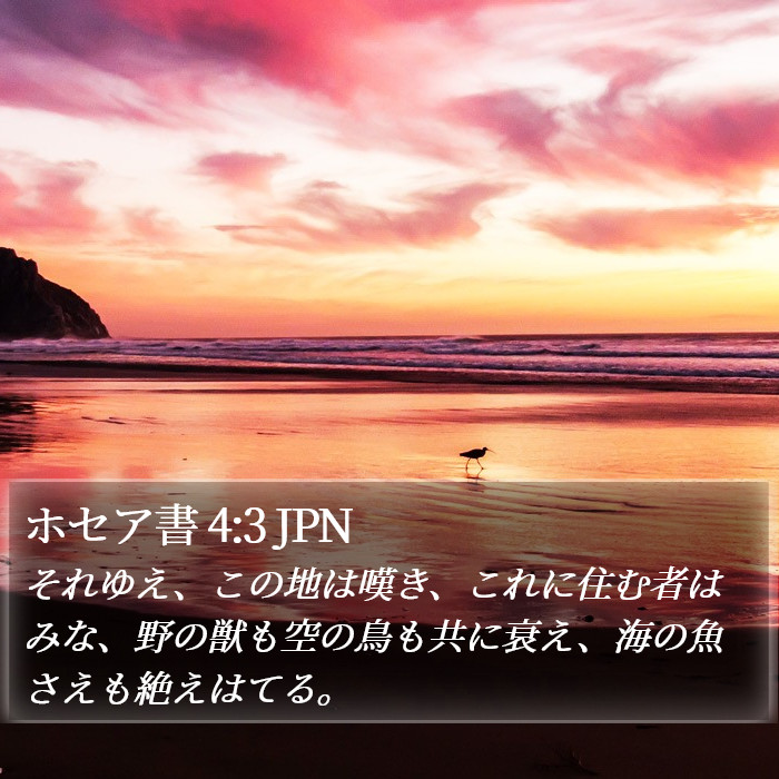 ホセア書 4:3 JPN Bible Study