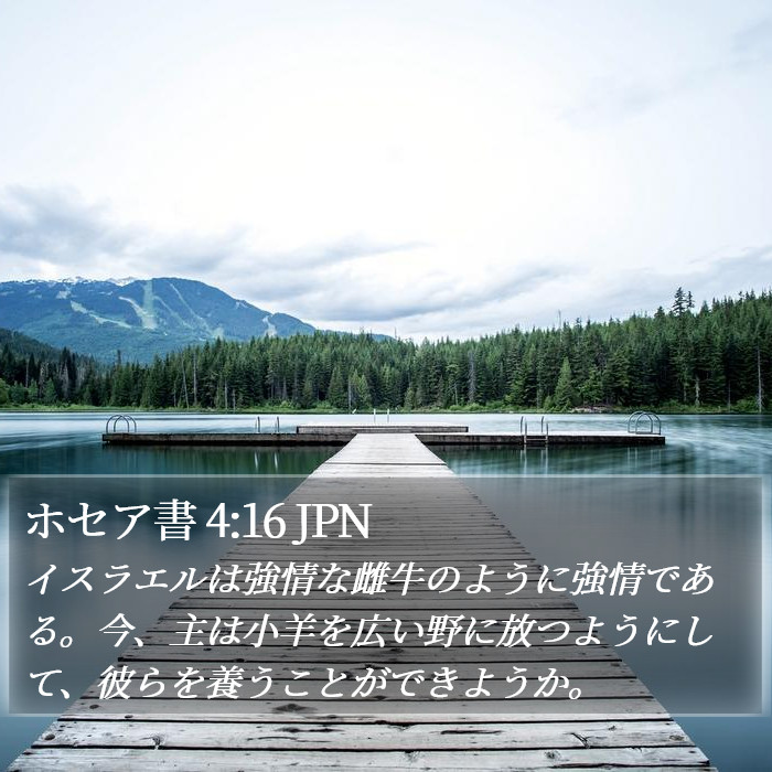 ホセア書 4:16 JPN Bible Study