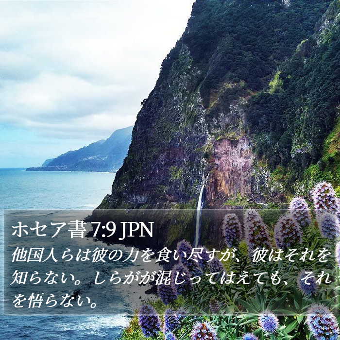 ホセア書 7:9 JPN Bible Study
