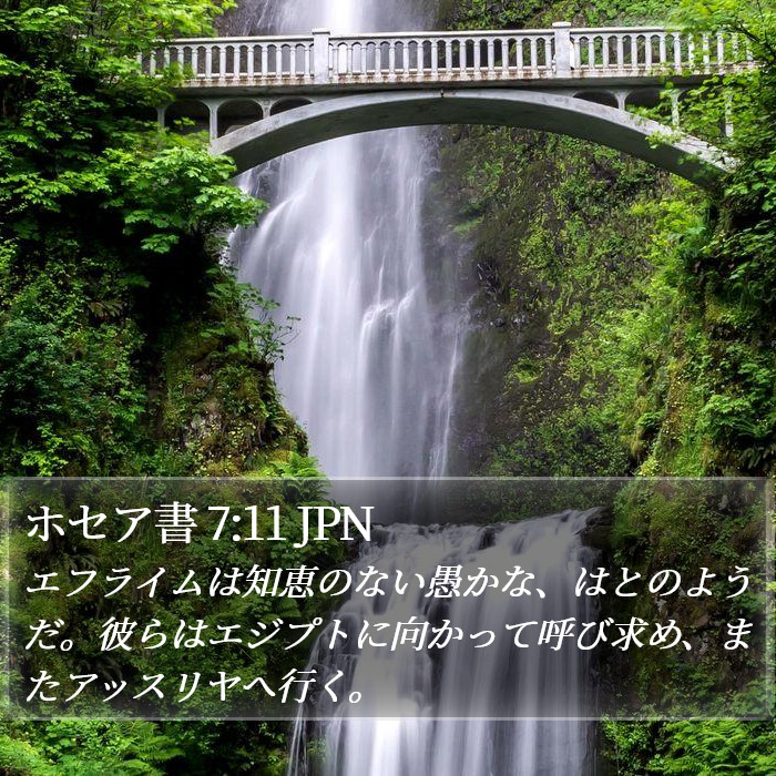 ホセア書 7:11 JPN Bible Study