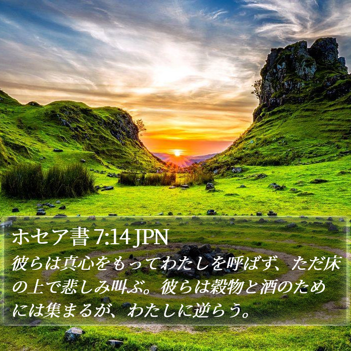 ホセア書 7:14 JPN Bible Study