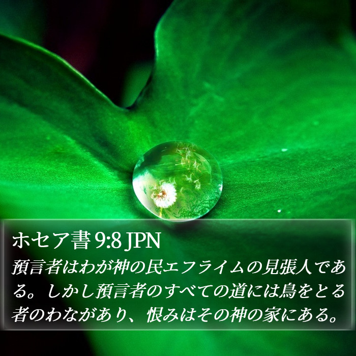 ホセア書 9:8 JPN Bible Study
