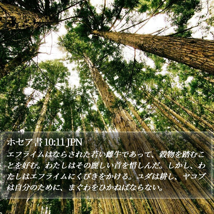 ホセア書 10:11 JPN Bible Study