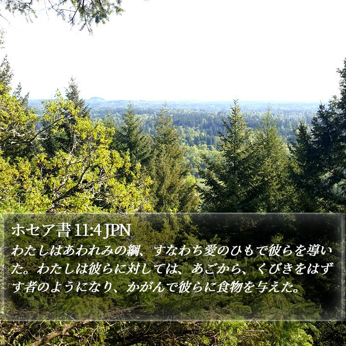 ホセア書 11:4 JPN Bible Study