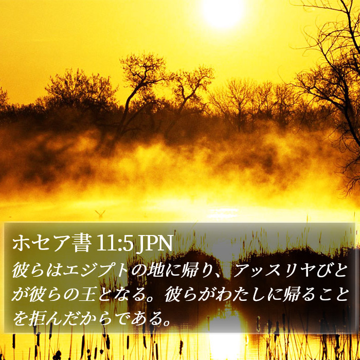 ホセア書 11:5 JPN Bible Study