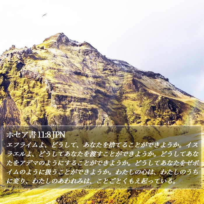 ホセア書 11:8 JPN Bible Study