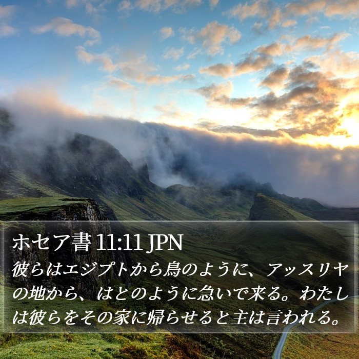 ホセア書 11:11 JPN Bible Study