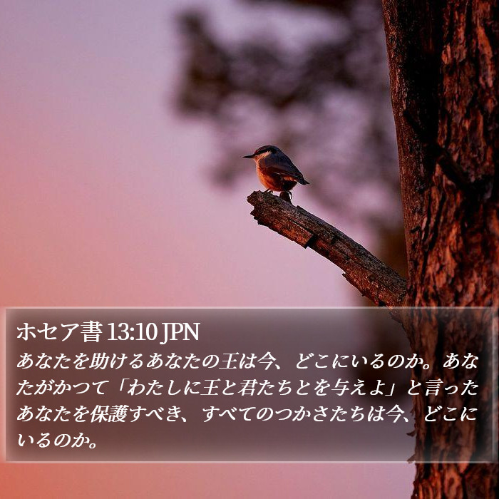 ホセア書 13:10 JPN Bible Study