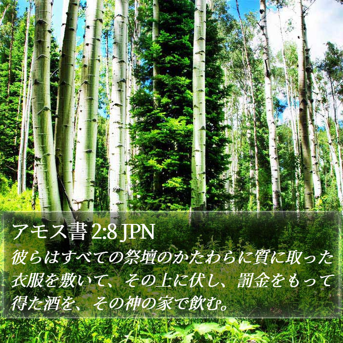 アモス書 2:8 JPN Bible Study