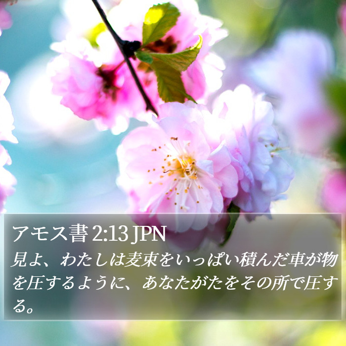 アモス書 2:13 JPN Bible Study