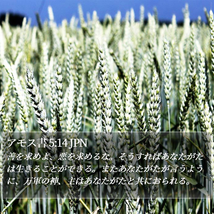 アモス書 5:14 JPN Bible Study