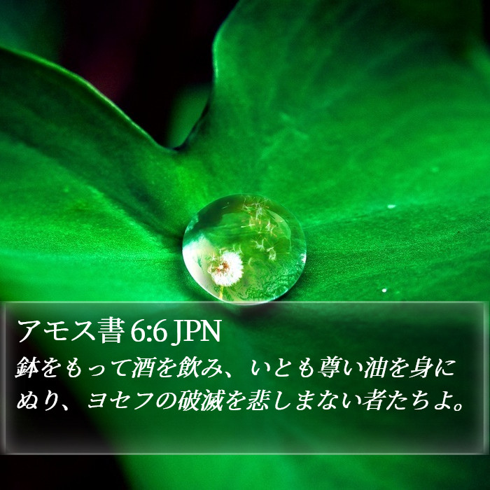 アモス書 6:6 JPN Bible Study