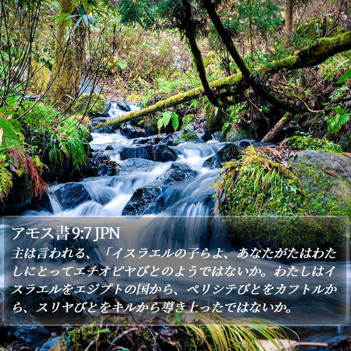 アモス書 9:7 JPN Bible Study