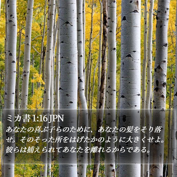 ミカ書 1:16 JPN Bible Study