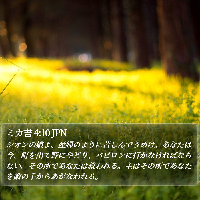 ミカ書 4:10 JPN Bible Study