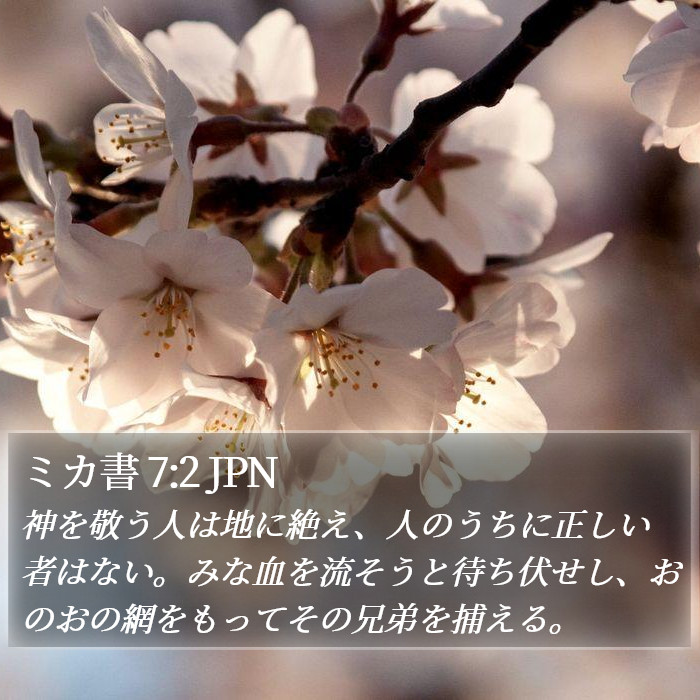 ミカ書 7:2 JPN Bible Study