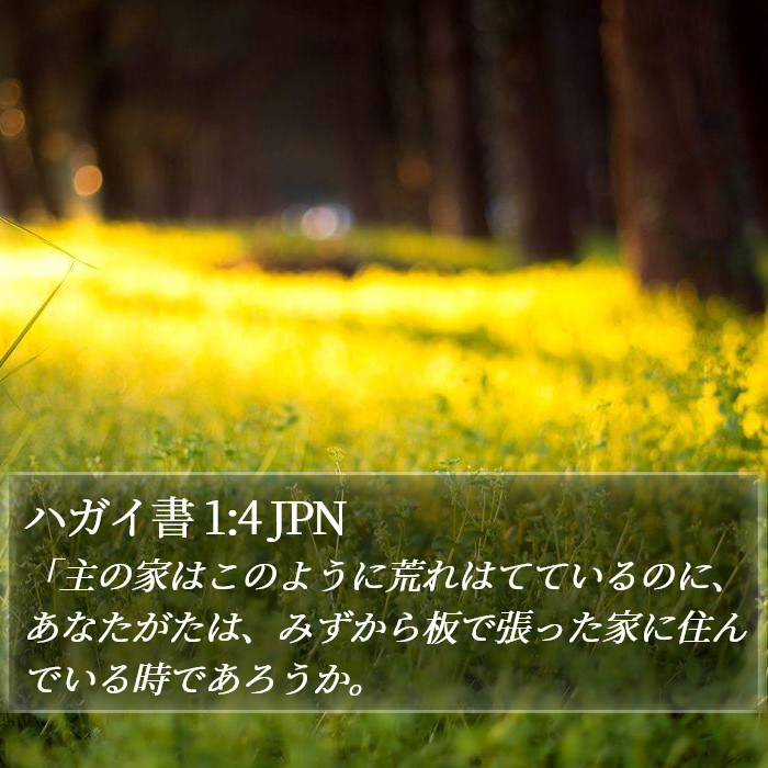 ハガイ書 1:4 JPN Bible Study