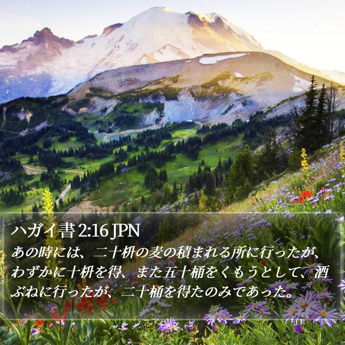 ハガイ書 2:16 JPN Bible Study