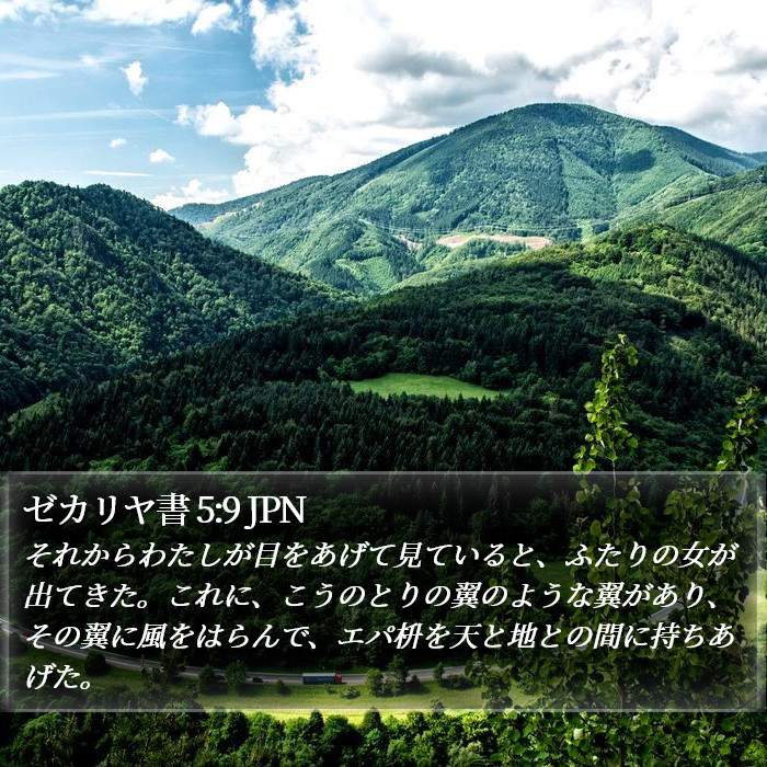 ゼカリヤ書 5:9 JPN Bible Study