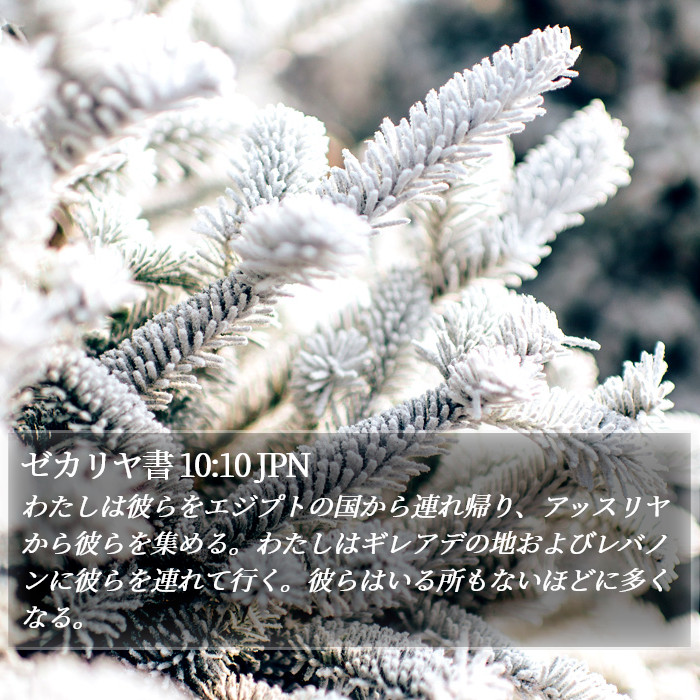 ゼカリヤ書 10:10 JPN Bible Study
