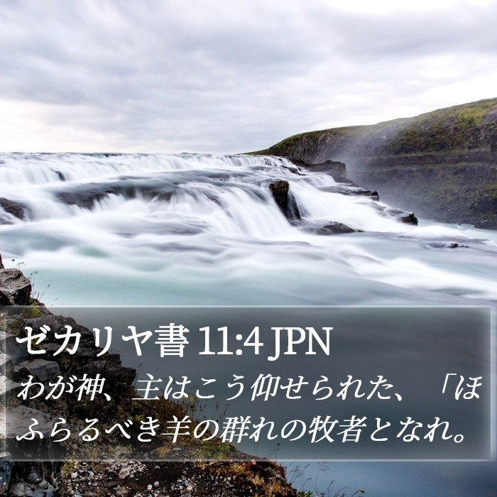ゼカリヤ書 11:4 JPN Bible Study