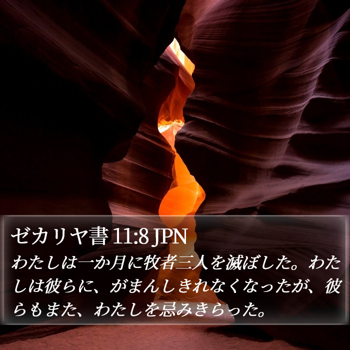 ゼカリヤ書 11:8 JPN Bible Study