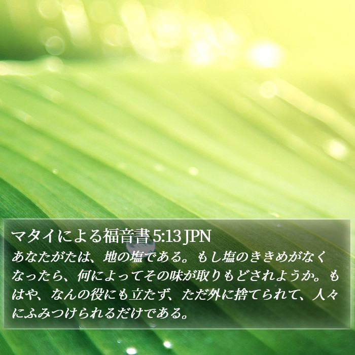 マタイによる福音書 5:13 JPN Bible Study