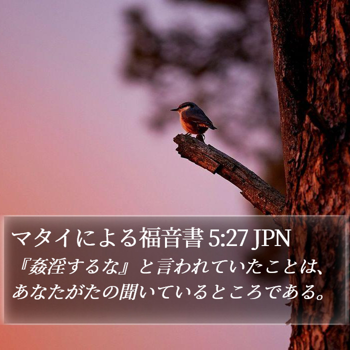 マタイによる福音書 5:27 JPN Bible Study