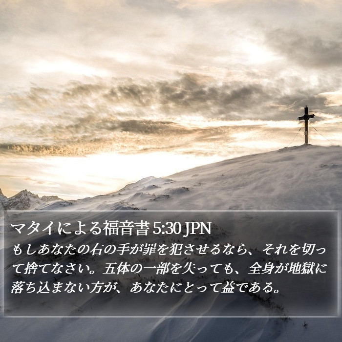 マタイによる福音書 5:30 JPN Bible Study