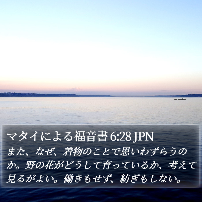 マタイによる福音書 6:28 JPN Bible Study