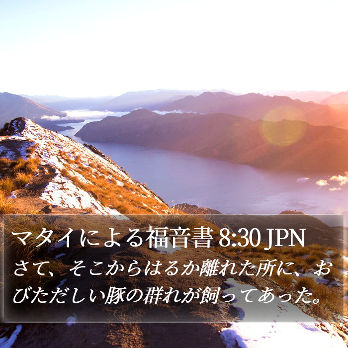 マタイによる福音書 8:30 JPN Bible Study