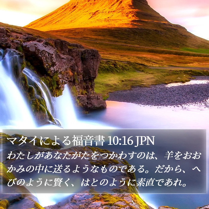 マタイによる福音書 10:16 JPN Bible Study