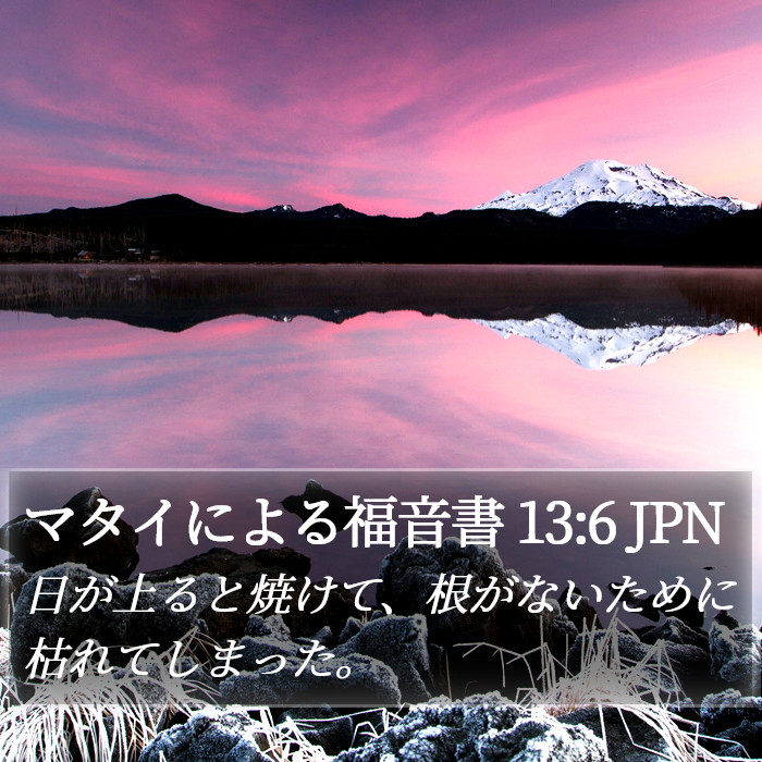 マタイによる福音書 13:6 JPN Bible Study