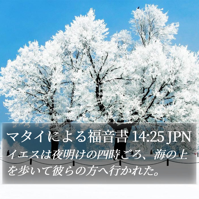 マタイによる福音書 14:25 JPN Bible Study