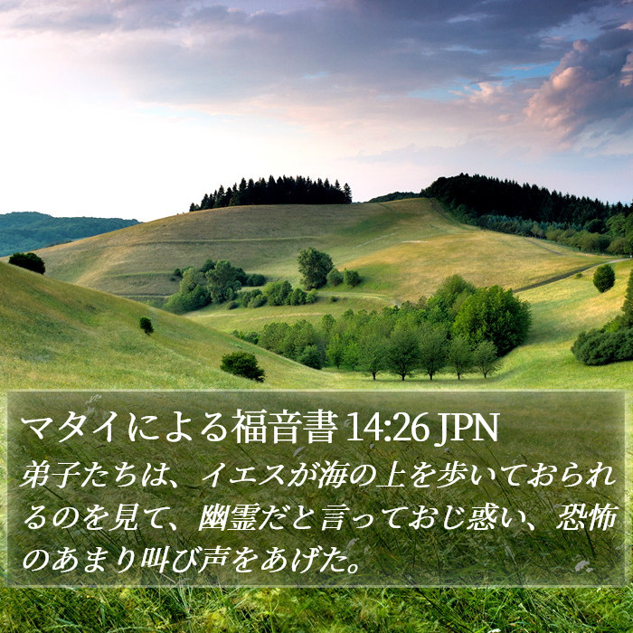 マタイによる福音書 14:26 JPN Bible Study