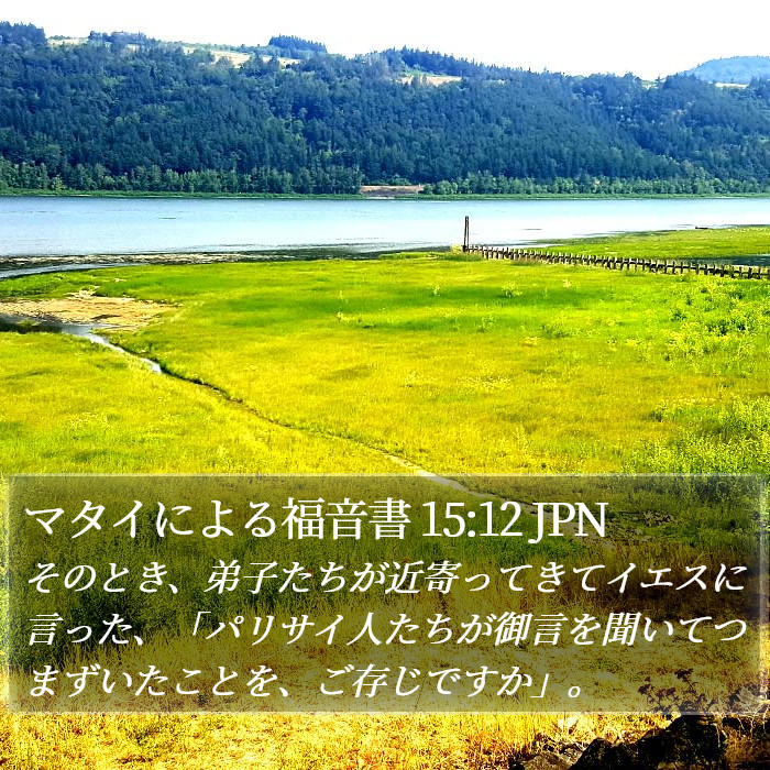 マタイによる福音書 15:12 JPN Bible Study