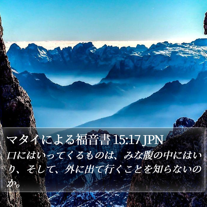 マタイによる福音書 15:17 JPN Bible Study