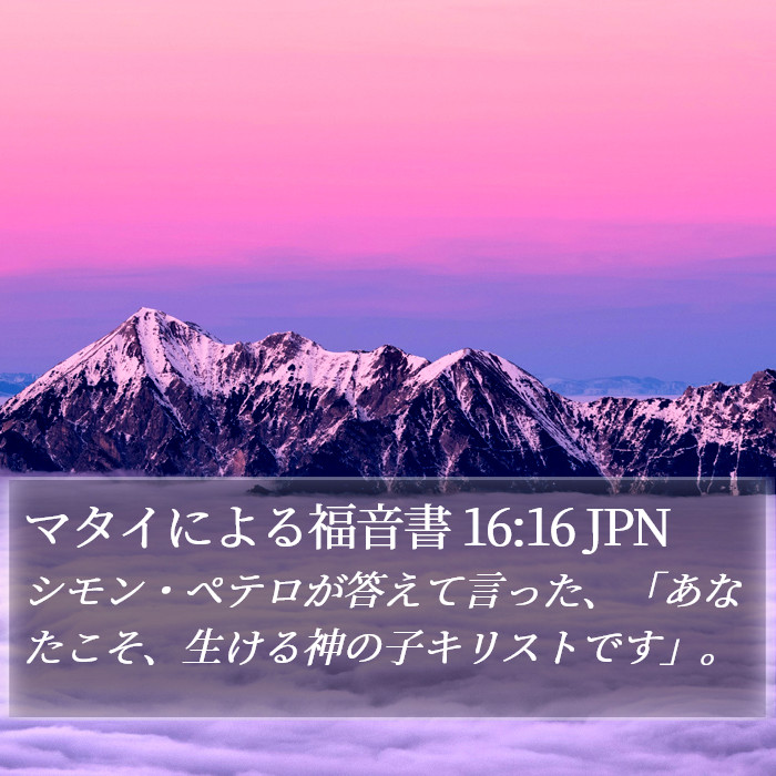 マタイによる福音書 16:16 JPN Bible Study