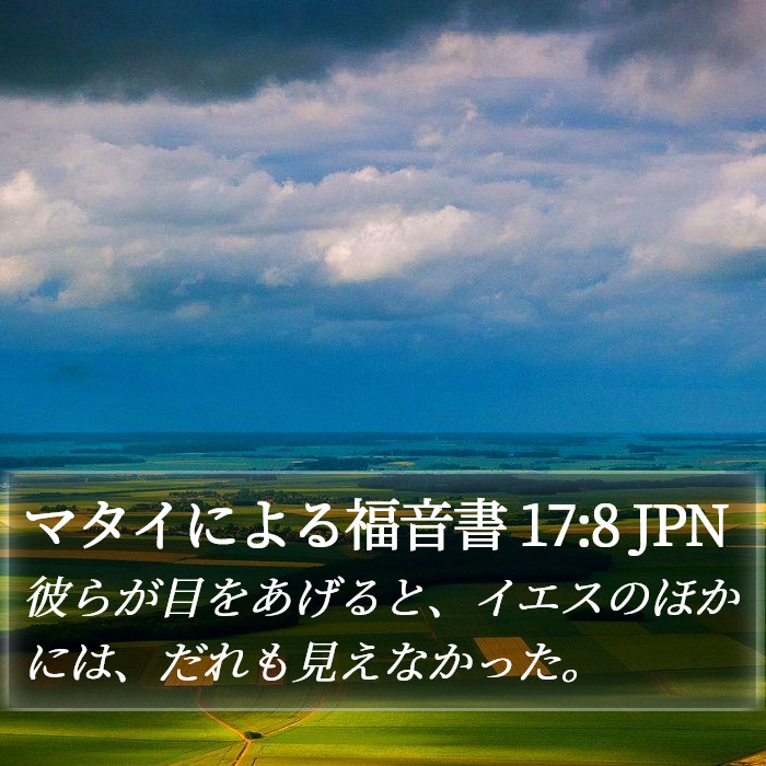 マタイによる福音書 17:8 JPN Bible Study