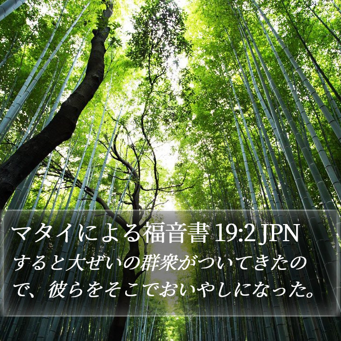 マタイによる福音書 19:2 JPN Bible Study